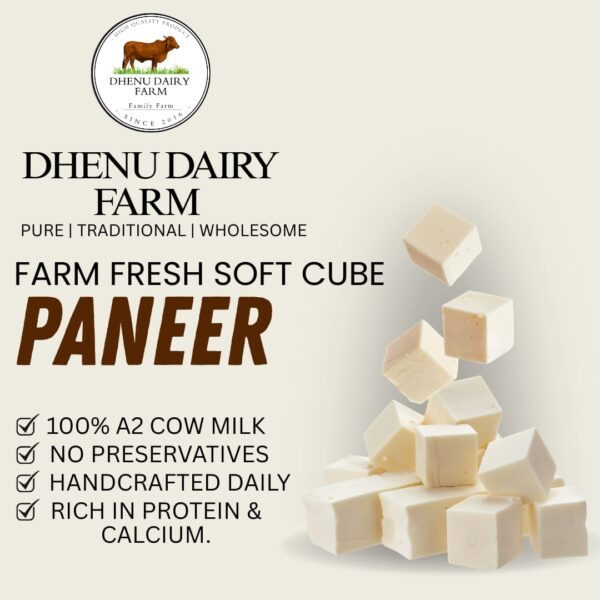 Soft Cube Paneer